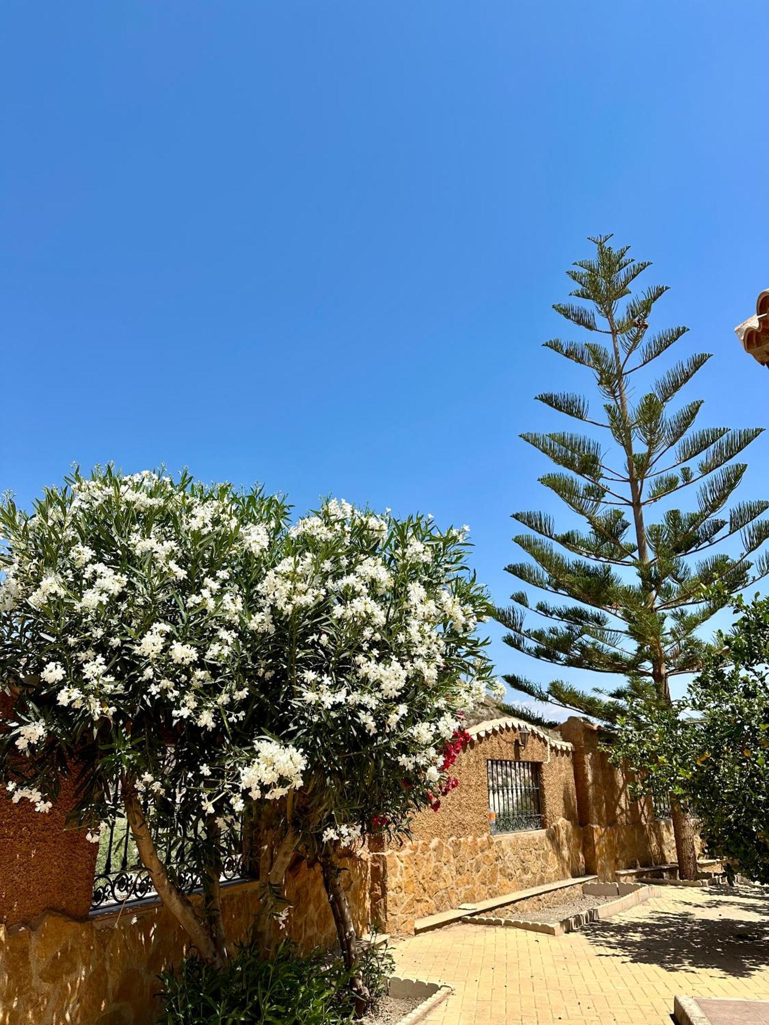 Casa Rural El Pomelo Zurgena 外观 照片