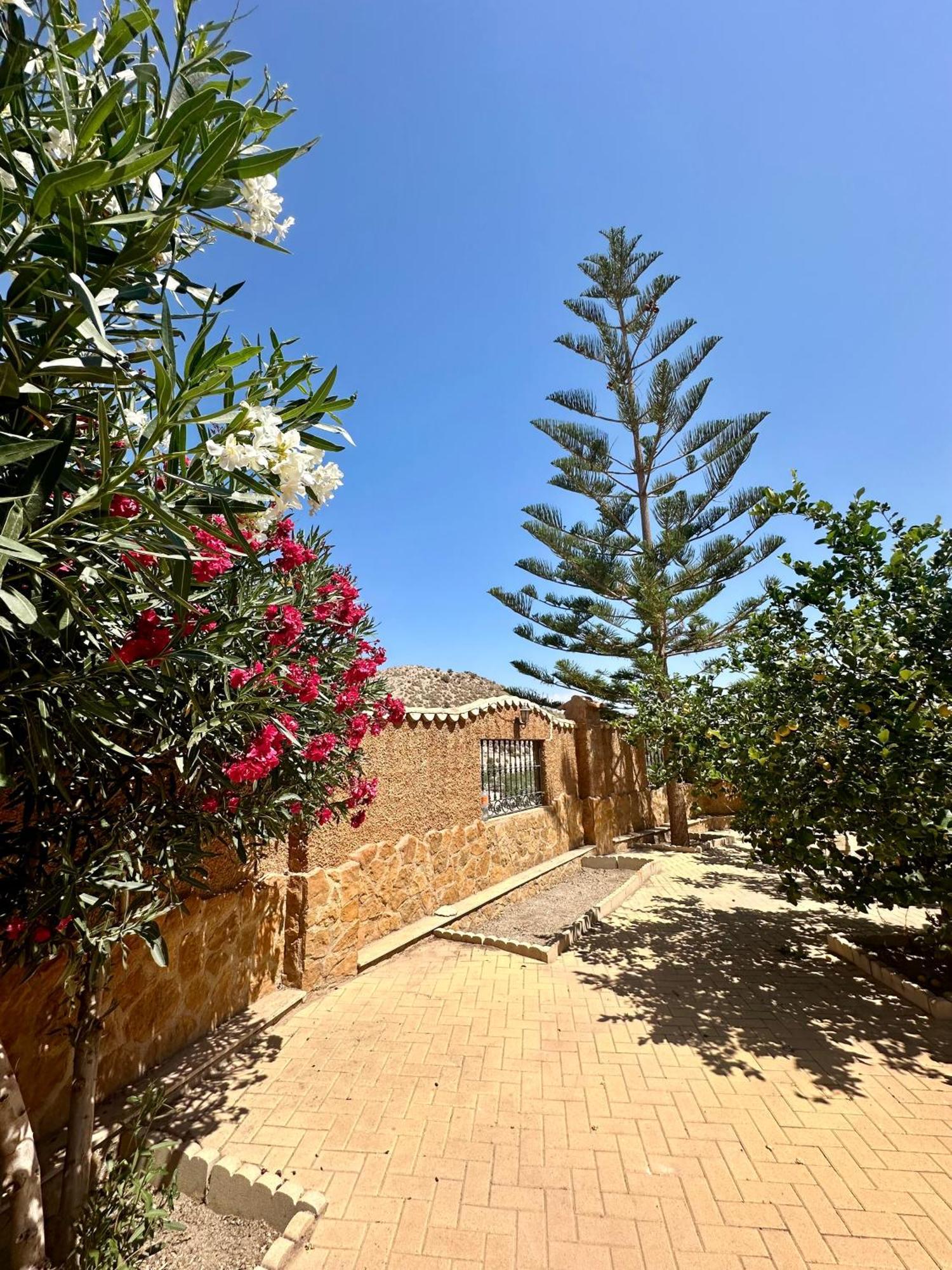 Casa Rural El Pomelo Zurgena 外观 照片